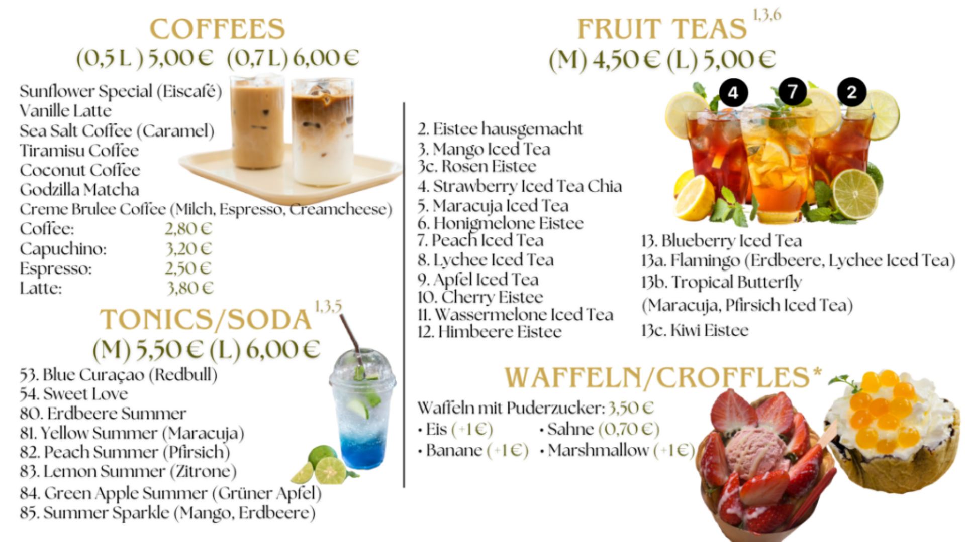 Sunflower in Miltenberg (1)